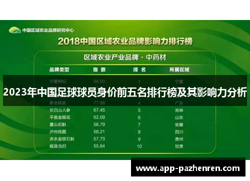 2023年中国足球球员身价前五名排行榜及其影响力分析
