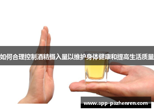 如何合理控制酒精摄入量以维护身体健康和提高生活质量