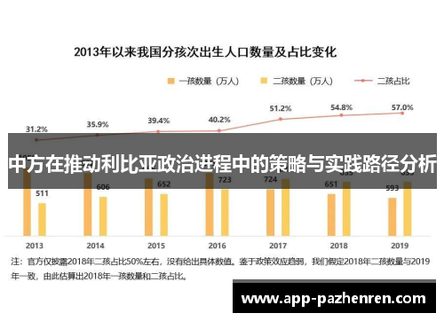 中方在推动利比亚政治进程中的策略与实践路径分析