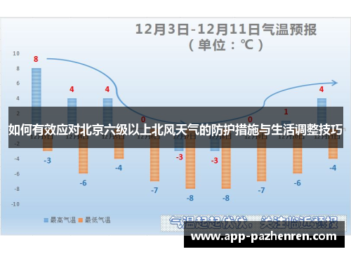 如何有效应对北京六级以上北风天气的防护措施与生活调整技巧