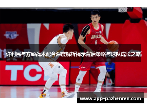 许利民与方硕战术配合深度解析揭示背后策略与球队成长之路