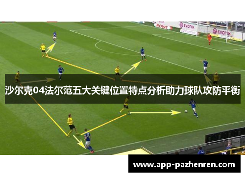 沙尔克04法尔范五大关键位置特点分析助力球队攻防平衡