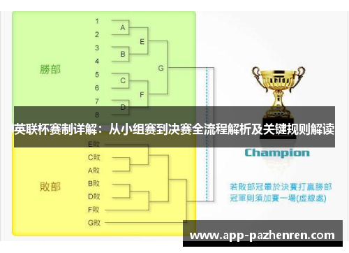 英联杯赛制详解：从小组赛到决赛全流程解析及关键规则解读