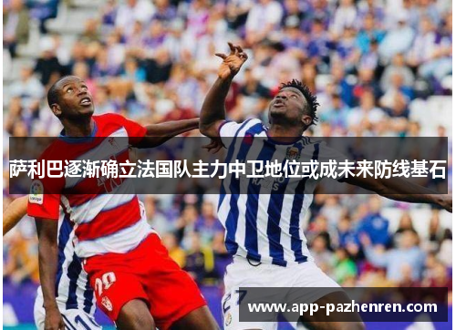 萨利巴逐渐确立法国队主力中卫地位或成未来防线基石